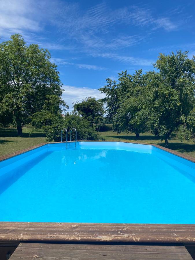 Magnifique Villa Piscine Dans Un Ecrin De Verdure Eckbolsheim Exterior photo